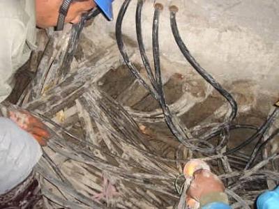電纜孔洞堵漏